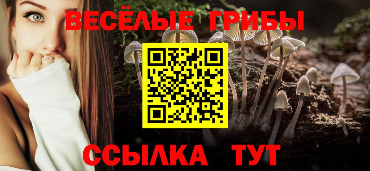 Галлюциногенные грибы GOLDEN TEACHER Ангарск